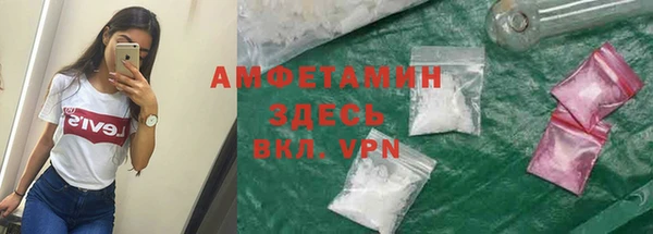 прущие грибы Алзамай