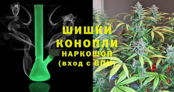 прущие грибы Алзамай