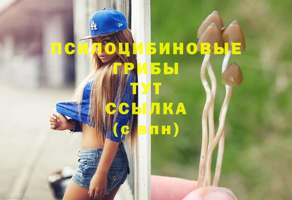 первитин Алексин