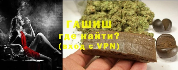 прущие грибы Алзамай